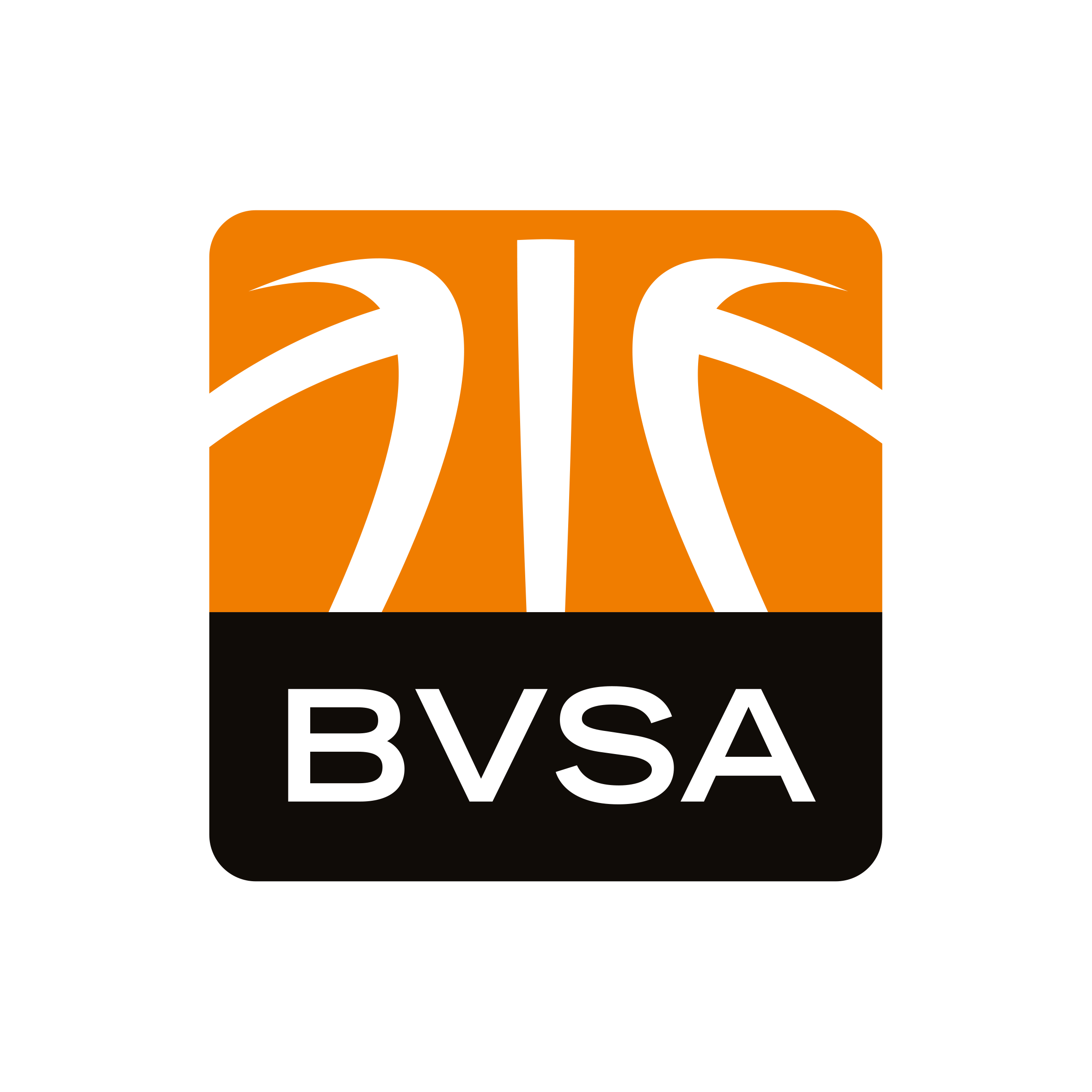 Basketball-Verband Sachsen-Anhalt e.V.