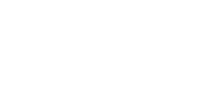 bfv_logo_final_01__weiss_02.png?ts=1790068567