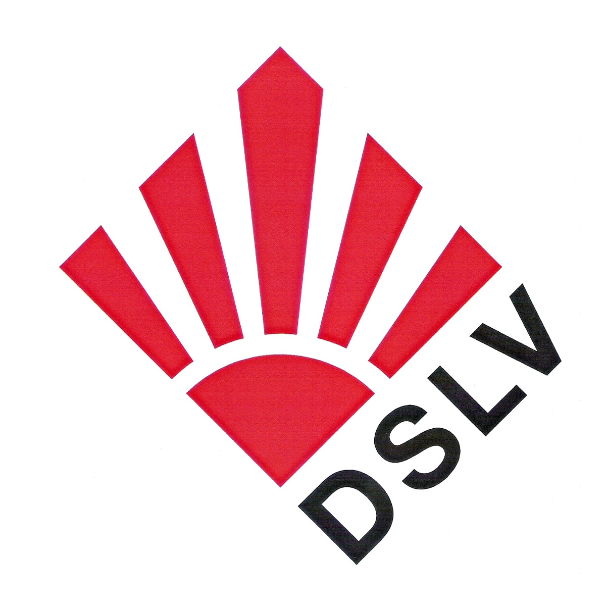 Deutscher Sportlehrerverband – DSLV e. V.